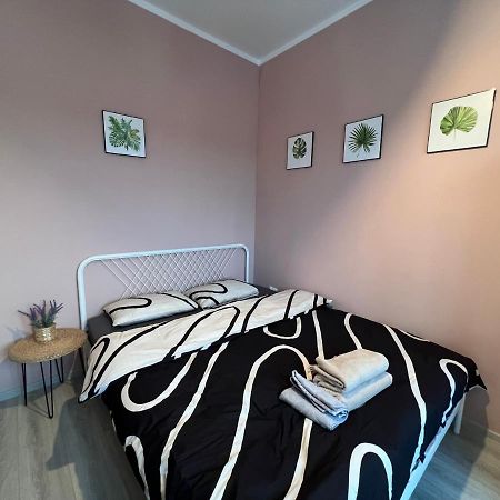 Coroama'S House Lejlighed Iasi Eksteriør billede